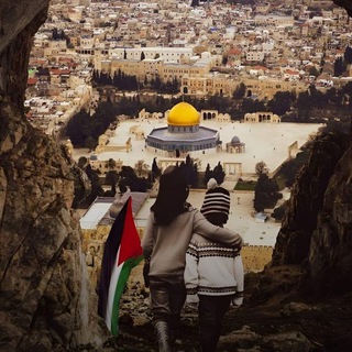 جميع التخصصات الطبيه