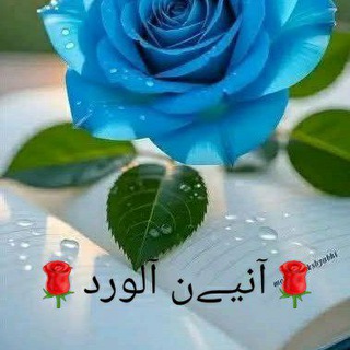 آنـ🦋ـيـن آلَوٌردٍ🌸