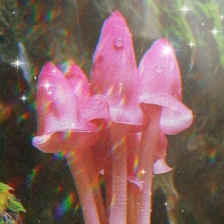 🍄 Опёныч 🍄