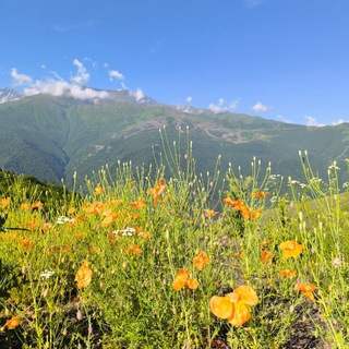 НЕБАНАЛЬНЫЕ ТУРЫ | Туры по России и странам СНГ 🌄