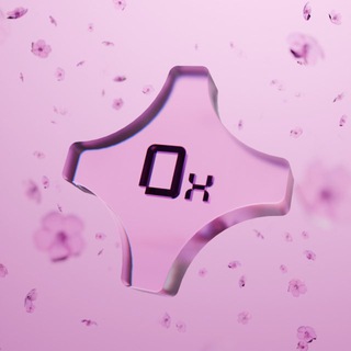0xConnect Girls