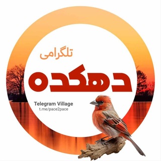 𝗽𝗮𝗰𝗲❷𝗽𝗮𝗰𝗲™ | دهکده تلگرامی