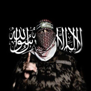 فلسطين_#مش_طالعين 🤍🔻