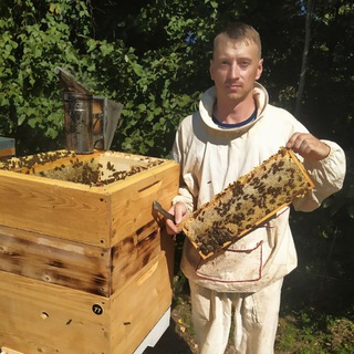 Продукты пчеловодства. Мед. Перга. Огневка. Прополис. Матки. Маточное молочко.