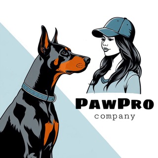 PawPro – забота о собаках с любовью и профессионализмом