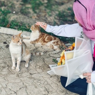 پای البالو🎐.