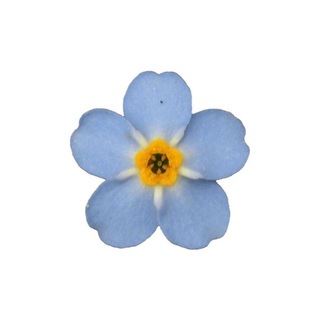 ✿