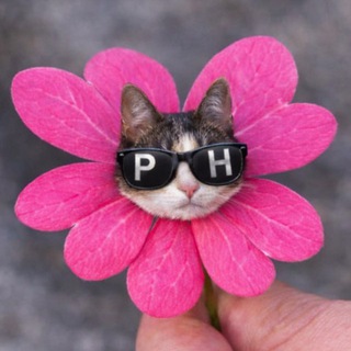 PH