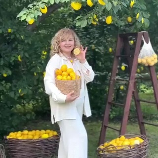 Ифигения в пути