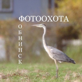 Фотоохота Обнинск