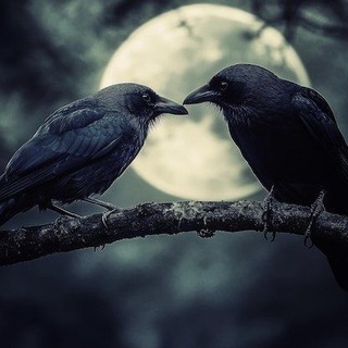 Стихи\Инфернальная поэзия.👇 Евгений. Парадоксов- Друг.🖋🕸https://t.me/piitc