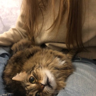 Бар Пенелопы