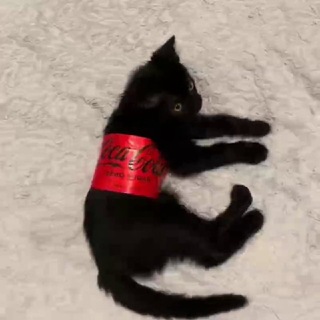 KTTK (рестик маленький сладенький)