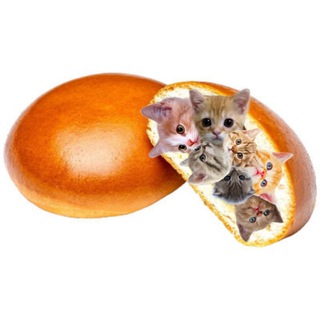 пирожки с котятами