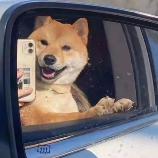 狗头工艺破解频道（王者荣耀和平精英暗区突围pubg三角洲行动萤火突击CFM无畏契约）