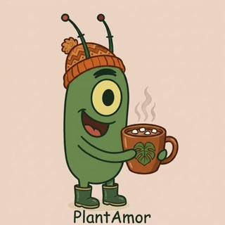 PlantAmor🍀