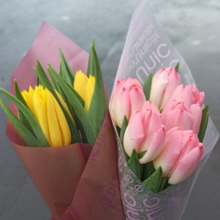 ПлавлюМозги