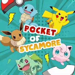 Pocket of Sycamore: A Journey Beneath the Sycamore Trees.