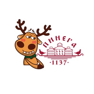 Подслушано Пинега