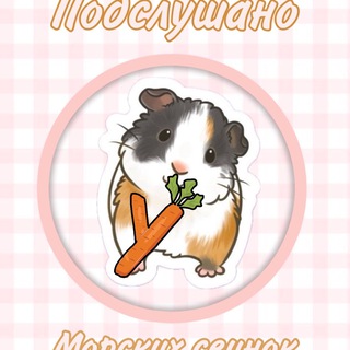 Подслушано у морских свинок🐾