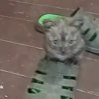 Аватар канала клуб сочных татарок @podval_debilov1