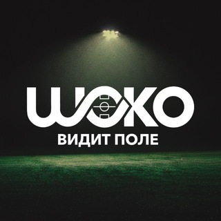 ШОКО ВИДИТ ПОЛЕ