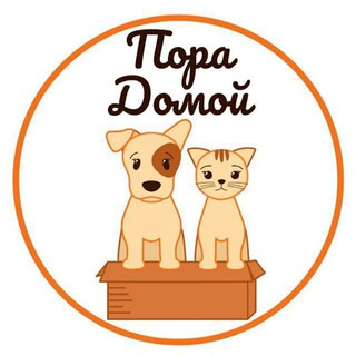Пора домой. Помощь животным