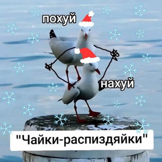 ❄️🐀Пошло-поехало🦇🎄