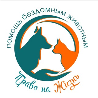 Помощь пострадавшим животным «Право на жизнь»