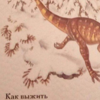 КАК ВЫЖИТЬ