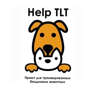Приют «HELP TLT» г. Тольятти 🐾