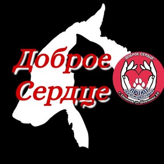 Приют для бездомных животных<Доброе сердце> г. Семёнов