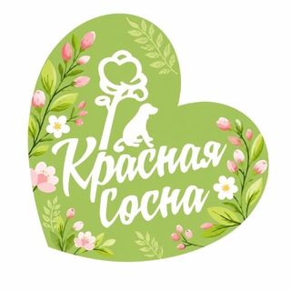 Приют для собак «Красная Сосна»