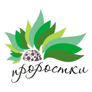 Проростки 🌿 Микрозелень 🌿 Витграсс 🌿 Красноярск