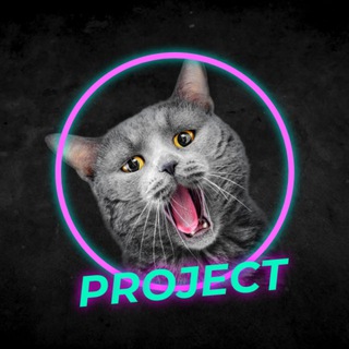 Project|Таргетинг и Маркетинг