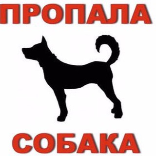 Пропала/найдена собака