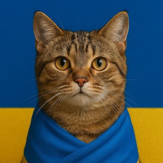 Котики України