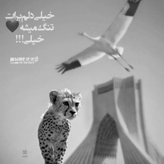 دنیای حمایت از حیوانات