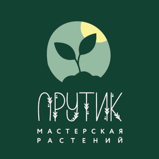 Прутик. Растения