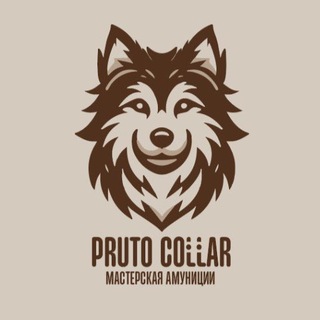 PRUTO COLLAR| амуниция для собак