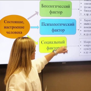 Психическое здоровье 🧠