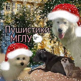 Пушистики Мглу🐹