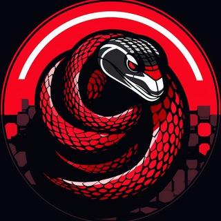 Python | Задачи | Теория 📖