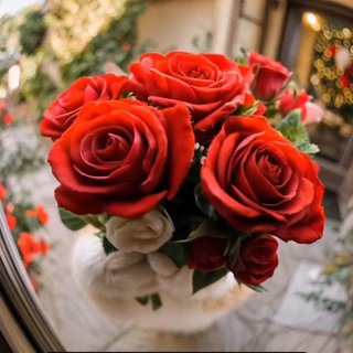 QADRDONLARGA DIL IZHORLARI