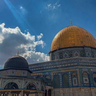 سَـارة.