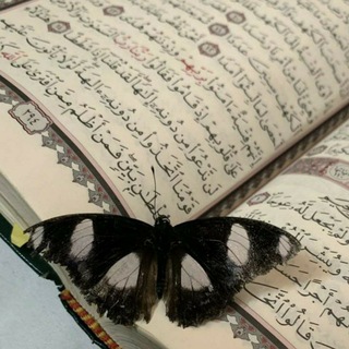 نُور قلبي الله.