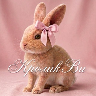 Кролик Ви🐰🎀