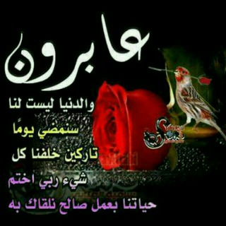 سنرحل ويبقى الاثر ❤️صدقة جاريه عن محمد ناصر الكثيري💓