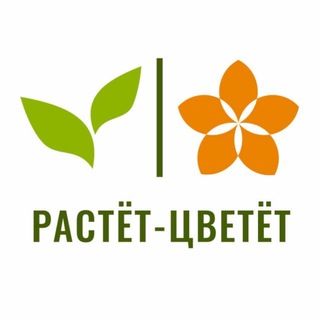 Растёт-Цветёт | Доставка цветов | Тула