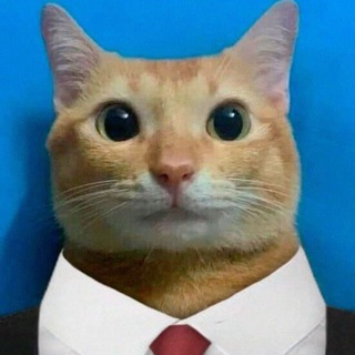 Рыжий Кот